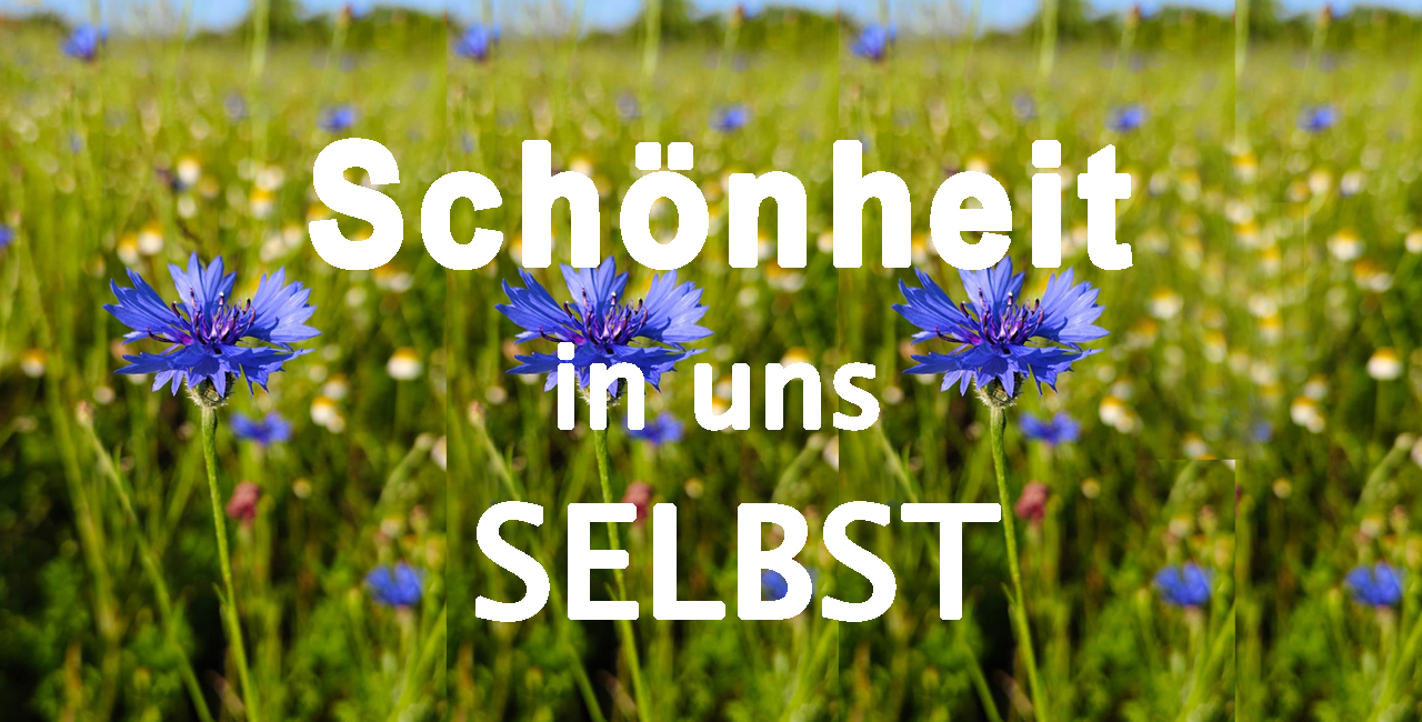 Unscheinbare Schönheit