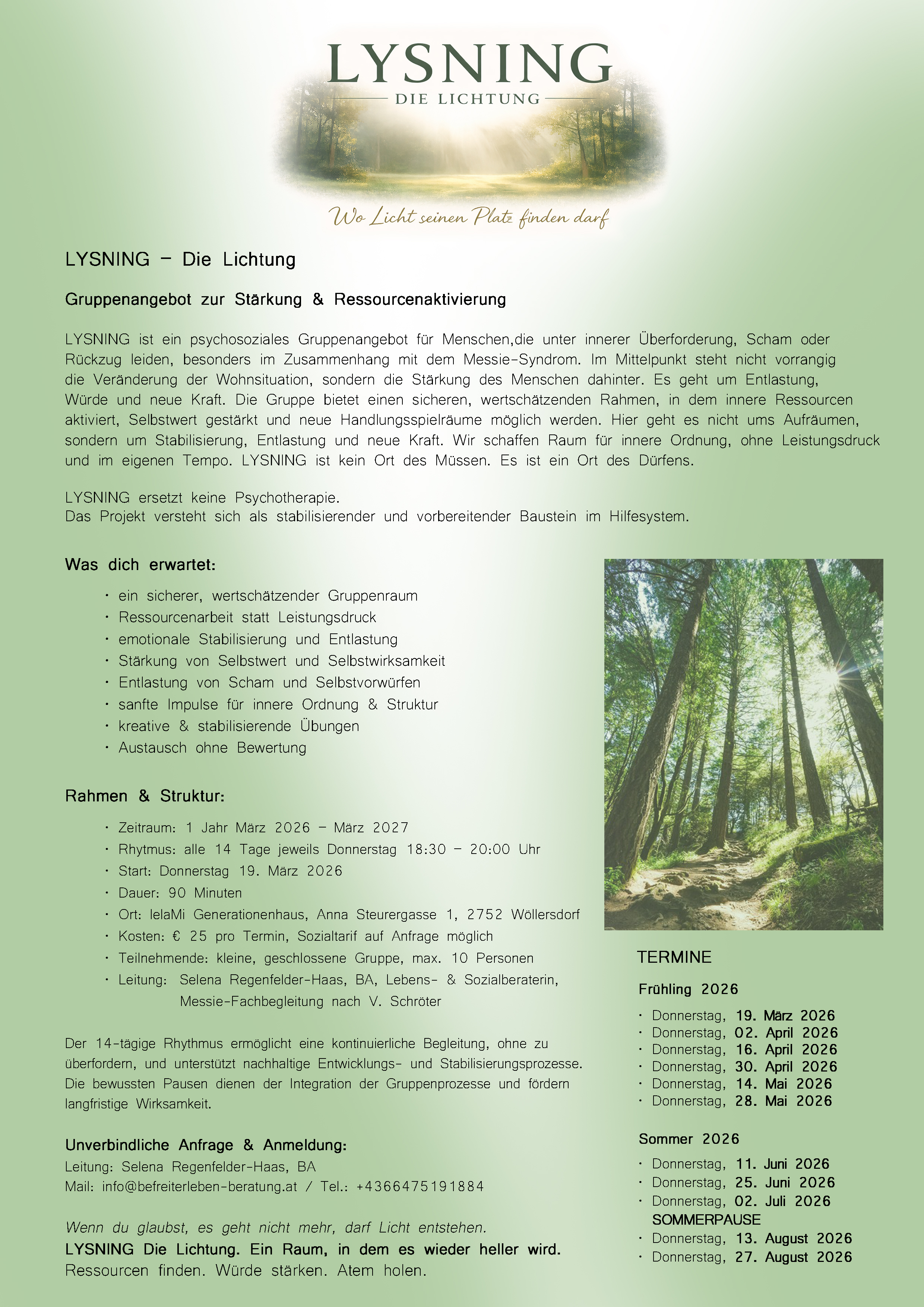 LYSNING – Die Lichtung